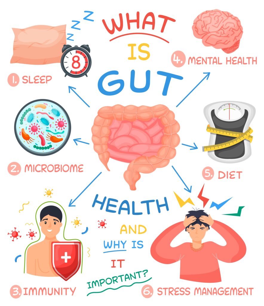 Gut Health and the Microbiome: Why It’s the Key to Overall Wellness